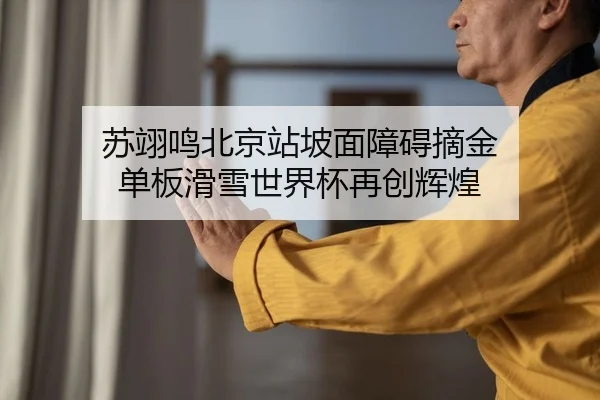苏翊鸣北京站坡面障碍摘金 单板滑雪世界杯再创辉煌